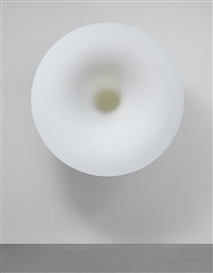 UNTITLED by Anish Kapoor